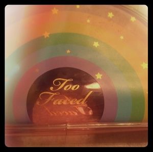 Rare Too Faced Makeup Bag